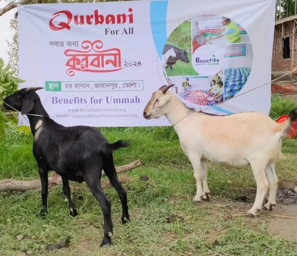 Udhiyyah / Qurbani